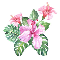 pink hibiscus flowers.watercolor