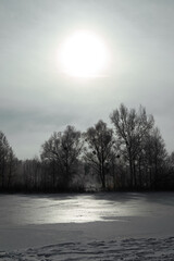 landscape snowy forest and river