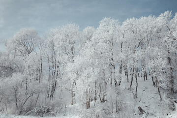 landscape snowy streets