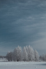 landscape snowy forest and river
