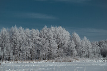 landscape snowy forest and river