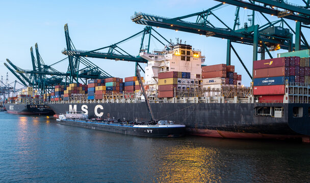 Containers are unloaded from the MSC Rachele in the Deurganckdok of the port of Antwerp