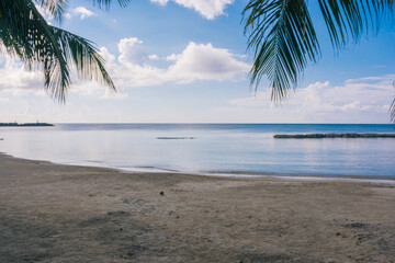 caribbean beach with blue water