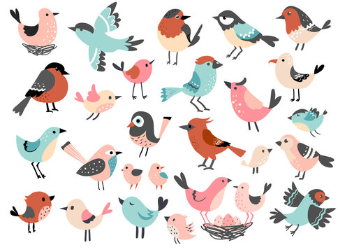 Cute bird set, funny little bird family, hand drawn vector illustration