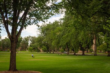 College Campus_Fort Collins Colorado