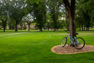 College Campus_Fort Collins Colorado