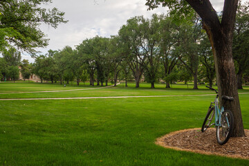 College Campus_Fort Collins Colorado