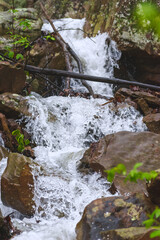 Fototapeta premium waterfall in the forest