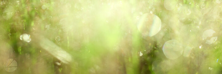 Abstract green spring background © Maizal