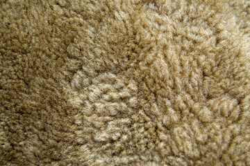 texture of natural fur close up. light wool