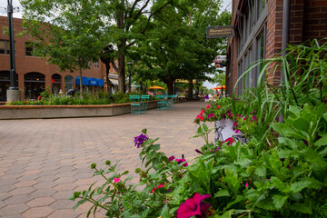 Downtown_Fort Collins Colorado
