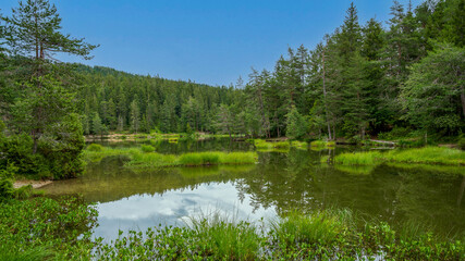 Obraz premium lake in the forest Möserer See Austria