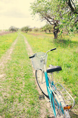 Fototapeta na wymiar retro bike stands on the road in a field
