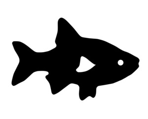 black and white fish