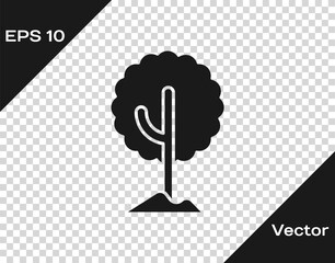 Fototapeta premium Black Tree icon isolated on transparent background. Forest symbol. Vector.