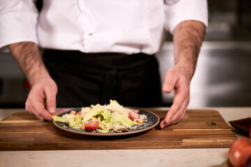 Master Class of Cooking by professional Chef in Restaurant, Cook in Apron Showing prepared fresh tasty salad, talk how to serve meal