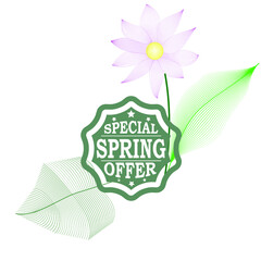 Spring Special  Sale . Leaf  vector logo
