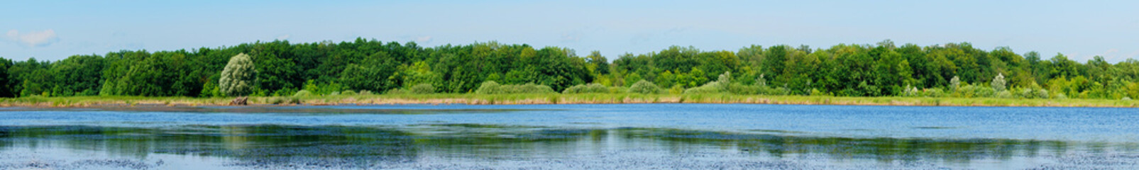 Panorama of a Quiet lake with a forest background