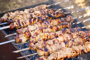 Roasted meat cooked at barbecue and skewers during picnic