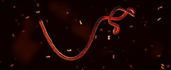 medizinisch korrekte Illustration vom Ebola Virus oder Parasit