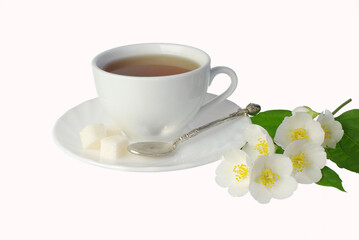 White faience cup of tea and jasmine flowers. 