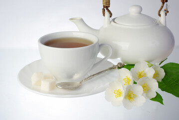 White faience tea cup, teapot and jasmine flowers.