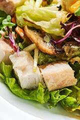 fresh salad with chicken and vegetables