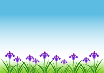 イラスト素材 背景 菖蒲の花畑と鯉のぼり こどもの日 端午の節句 Background Wall Mural Backgrou Kuroshimaharu イラスト素材 背景 菖蒲の花畑と鯉のぼり こどもの日 端午の節句 Background Wall Mural Backgrou Kuroshimaharu