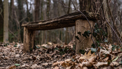 Holzbank