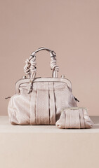 Fashionable hand bag for woman.