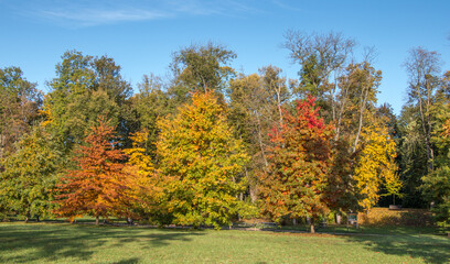 autumn in the park / Stromovka, Prague, Czech Republic