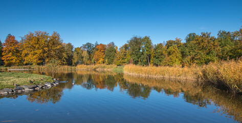 autumn trees reflected in water / Stromovka, Prague, Czech Republic