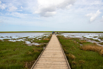 Wanderpfad Langwarder Groden, Fedderwardersiel 13