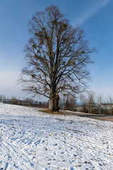 Mostviertel in winter
