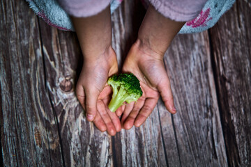 Selective focus of the hands from a girl with broccoli for a healthy meal