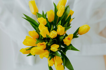 Bright fresh yellow tulips on white background. Many yellow tulips in jar top view. Bunch of spring flowers on white table.