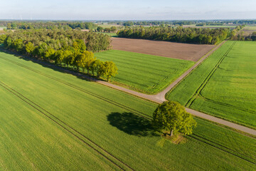 Fototapeta premium Landschaft in Deutschland aus der Luft