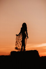 Naklejka premium Silhouette of a sexy nude girl in underwear in a field in summer at sunset in nature