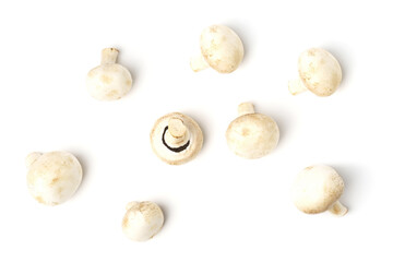 Fototapeta na wymiar collection of white champignons isolated on white