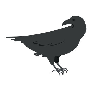 Vector graphics in flat style isolated on white background. Black raven with sharp claws minimalistic icon symbol of failure and unhappiness hand drawn illustration.