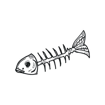 Cute hand drawn fish skeleton. Vector illustration