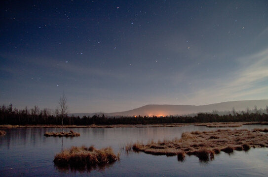 frozen lake on a starry night / Chalupska moor, Sumava national park, Czech Republic