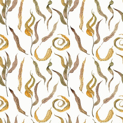 Pattern of dry leaves and twigs on a white background