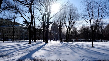 Alexander Garden and St. Isaac's Cathedral, St. Petersburg, Russia. Frosty sunny day.