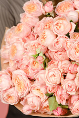 Many bright pink roses close up background.