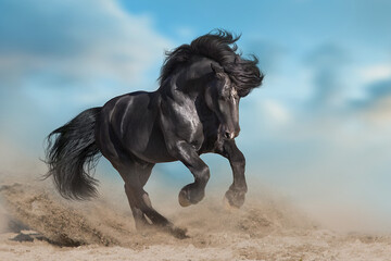 Fototapeta na wymiar Stallion with long mane run fast against dramatic sky in dust