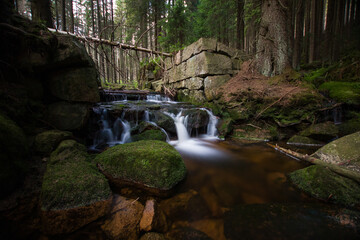 Naklejka premium waterfall in the forest