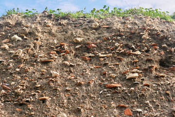 occupation earth - layers of ground with fragments of ancient pottery and shells under the sod layer