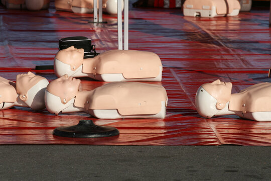 mannequin pour entra&icirc;ner aux gestes de premiers secours, le brevet de secourisme