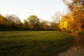 Fototapeta premium Landschaftsidyll im Herbst bei Sonnenuntergang